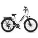 Samebike RS-A01 Plus Electric Bike 750W Motor 48V 14Ah Battery 26*3.0 ” Inch Fat Tire Step-thru City Commuter Ebike_desvips.com