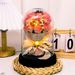Mother's Day Gift: Eternal Rose In A Glass Dome, 520 Gift For Girlfriend, Wife, Best Friend, Goddess, Mom, Birthday_desvips.com