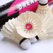Badminton Shuttlecocks 12 Pack Durable Reverse Washed All Round Feather Stable Outdoor Use_desvips.com