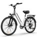 URLIFE E26 City Electric Bike 250W Motor 48V 10.4Ah Battery_desvips.com