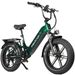 Maxtron Camel Electric Bike For Adults,48V 18AH Removable Battery,Full Suspension_desvips.com