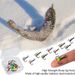 5PCS 8#10# 12# 14# Winter Three-jaw Hook Ice Fishing Hooks Carbon Steel Durable Sinking Bait Tackle Tools With Plastic Case Tool_desvips.com