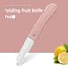 Portable Household Stainless Steel Folding Small Kitchen Fruit Peeler Multi-Functional Pocket Knife_desvips.com