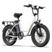 URLIFE E20 Commuting Electric Bike 250W Motor 48V 13Ah Battery_desvips.com