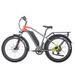 JOBOBIKE Kelper-E42 Adult Electric Bike With 48V 20Ah LG Battery_desvips.com