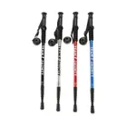 Trekking Poles_desvips