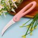 Stainless Steel Knife Peeling, Household Folding Fruit Peeling Knife, Wholesale, Portable And Handy For Home Use_desvips.com