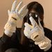 Cute Full-Finger Touchscreen Ski Gloves For Women Winter Warm Cycling Fleece-Lined Thickened Water-Resistant Electric_desvips.com