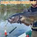 86Pcs Catfish Rig Catfishing Tackle Making Kit Santee Cooper Rig Catfish Peg Float Bobbers Fishing Rigging Tackle Box_desvips.com