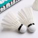 Wholesale Balls, 12-piece Pack, Amateur Entertainment, Durable Duck Feather Training Balls For Adults, Indoor And_desvips.com