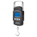 Cross-Border Direct Supply Portable Household Handheld With Tape Measure High-Precision Electronic Compact Courier Scale_desvips.com