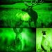 Green Light Flashlight,Single Mode Green Led Hunting Light,Zoomable Light For Hunting,Green Torch For Night Vision,Astronomy_desvips.com