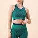 Snake Pattern Mesh High Waist Hip Lift Fitness Yoga Suit Quick Dry Breathable Running Sports Set Women_desvips.com