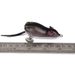 Bionic 7cm Floating Lure Frog 17.43g Snakehead All-Purpose Soft Bait FR010_desvips.com