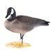 Cross-Border Exclusive EVA Soft Rubber Foldable Canadian Black Thigh Hunting Wild Garden Landscape Goose Decoy_desvips.com