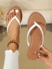Outdoor Beach And American Hot Famous Designer Style 2025 Summer Women's New Large Size Flat Toe Clip Flip Flops Sandals_desvips.com