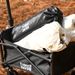 Mini Collapsible Folding Utility Beach Wagon Cart Heavy Duty Large Capacity Fold Wagon Outdoor Trolley Portable Camping Cart_desvips.com