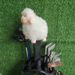 Sheep Golf Club Cover No. 1 Wooden Hat Cover Head Chicken Leg Protective Cover Push Club Cover Golf Supplies_desvips.com
