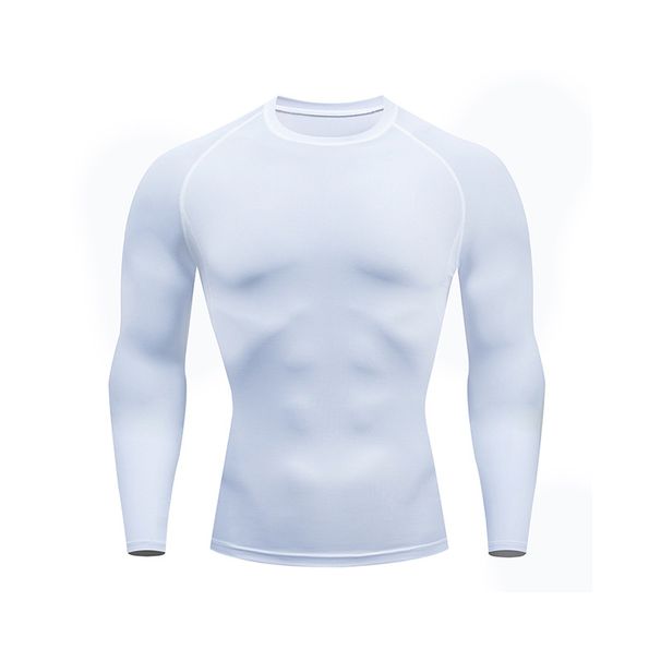 European And American Sizes In Stock Tight Outdoor Sports High Elastic Quick Drying Cycling Training Breathable Colorful Long Sleeved Tops_desvips.com