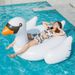 Inflatable Swan Ride-On Pool Float - Giant White Goose Lounge Chair For Adults (150cm Heavy-Duty PVC Comfortable Seat Summer Party Essential)_desvips.com