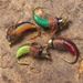 1/3Pcs/Box #10 Fishing Accessories Brass Bead Head Sinking Nymph Scud Fly Worm Trout Fishing Flies Artificial Insect Bait Lure_desvips.com