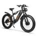 RICH BIT C01 Electric Mountain Bike, 48V 20AH Battery, Full Suspension, Shimano 7-Speed_desvips.com