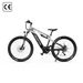 DUOTTS E29 Electric Bicycle,250W Motor 48V 13.5Ah Battery,27.5"Tire, Hydraulic Disc Brakes_desvips.com