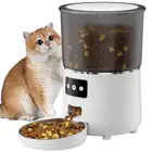 Pet Automatic Feeders_desvips