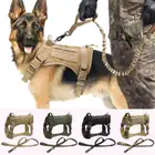 Dog Collars, Leashes & Harnesses_desvips