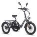 Fafrees F20 Mate Electric Cargo Tricycle 48V 21Ah Battery With L2e-P Certified_desvips.com