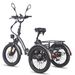 Fafrees F20 Mate Electric Cargo Tricycle 48V 21Ah Battery With L2e-P Certified_desvips.com