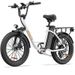 URLIFE E20 Commuting Electric Bike 250W Motor 48V 13Ah Battery_desvips.com