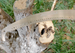 1 Piece Of Three-sided Grinding Tooth High-altitude Garden Tool Saw, Fruit Tree Pruning Saw_desvips.com