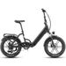 Maxtron Ilex Folding Electric Bike, 250W Motor 48V 14.4Ah Battery_desvips.com