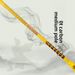 Guangyu Master Competition Special Adult 4U Lightweight Event Reinforced Carbon Fiber Badminton Racket_desvips.com