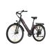 TTGO C3 SE City Electric Bike, 250W Motor 52Nm Torque, 36V 18AH Battery_desvips.com