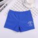 Xinhai Zhiyue Boys' Wholesale Children's Solid Color Hot Spring Boxer Swimwear Swim Trunks For Big Boys_desvips.com