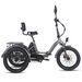 FAFREES F20 Mate Electric Tricycle 48V 23.45Ah Battery 500W 20 Inch Tires With Mirror And Rear Basket_desvips.com
