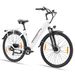 TTGO HZ-28ST Electric Bike For Adult 28" Step-thru Commuter City Ebike 250W Motor 36V 20Ah Battery_desvips.com