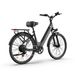 URLIFE E26 Urban Commuting Electric Bike 250W Motor 36V 13Ah Battery_desvips.com