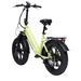 Bodywel F20PRO Fat Tire Touring Ebike 250W 48V18AH Battery_desvips.com