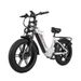 Nathaniel SYR08 Dual Motor Electric Bike – 48V 20Ah Removable Battery_desvips.com