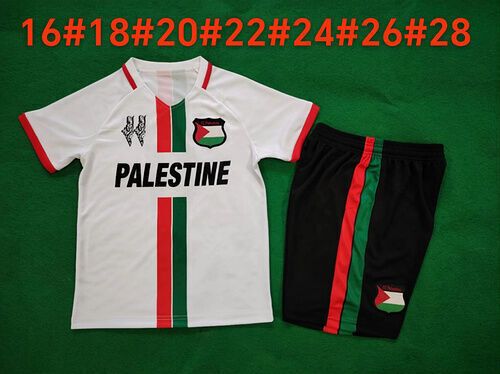 24/25 Palestine Football Jersey S-XXL_desvips.com
