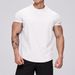 Men's Euro Fit Quick-Dry Workout T-Shirt – Breathable Summer Running & Gym Tee (Black/Beige/Grey/Navy, S-XXL)_desvips.com