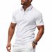 Cross-border Summer Hot Sale European Size Mesh Men's Polo Shirt Casual Golf Quick-drying Short-sleeved T-shirt Men_desvips.com