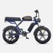 ENGWE M1 E-Mountain Bike 48V 250W Dual Suspensions Hydraulic Brakes 20"×4.0 Fat Tires Off-road Electric Bicycle_desvips.com