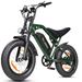 ESKUTE V202 Off-road Electric Bike, 48V 20.8Ah Long-Range Battery, Dual Suspension_desvips.com