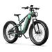 DUOTTS E26 2025 Electric Mountain Bike 750W Motor 48V 20Ah Battery 26" Fat Tire All-Terrain E-Bike Hydraulic Brakes 120km Range IP65 Waterproof CE_desvips.com