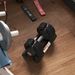 Mancuerna Ajustable 4 En 1 10 Kg Ajuste Rápido De Peso Con Base De Almacenaje Mango Antideslizante Para Gimnasio En_desvips.com