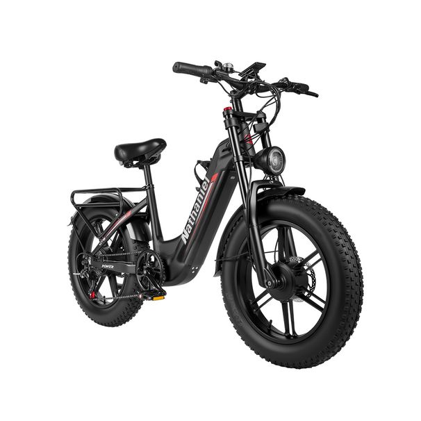 Nathaniel SYR08 Dual Motor Electric Bike – 48V 20Ah Removable Battery_desvips.com